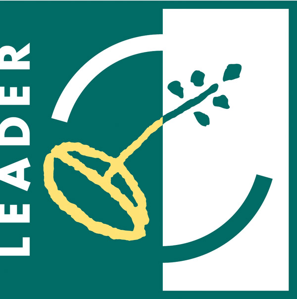 logo leader 1