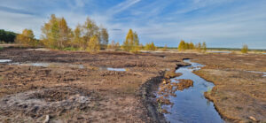 Fliessgewässer Bergener-See