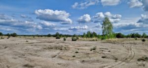 Offene Sandflächen auf Bergener Hutung