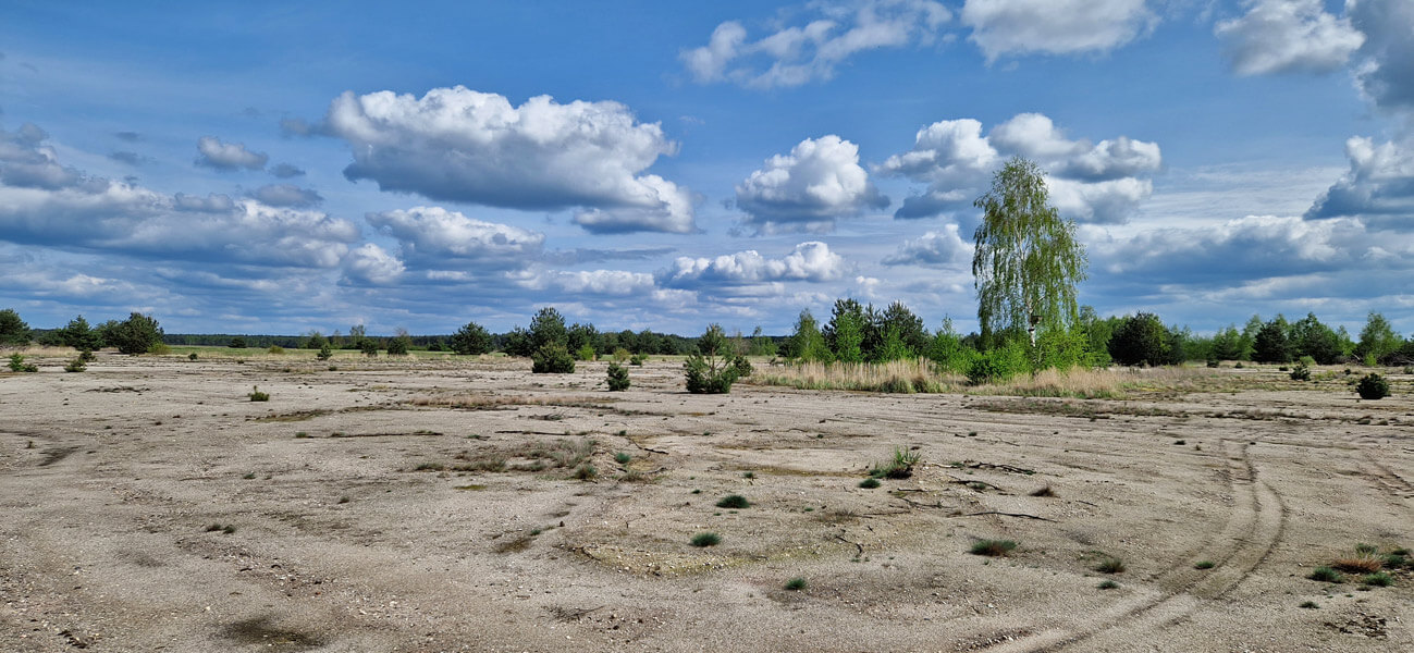 Offene Sandflächen auf Bergener Hutung