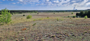 Offenland Aussenkippe Scheibe