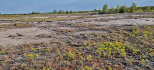 Offenland Bergener Hutung