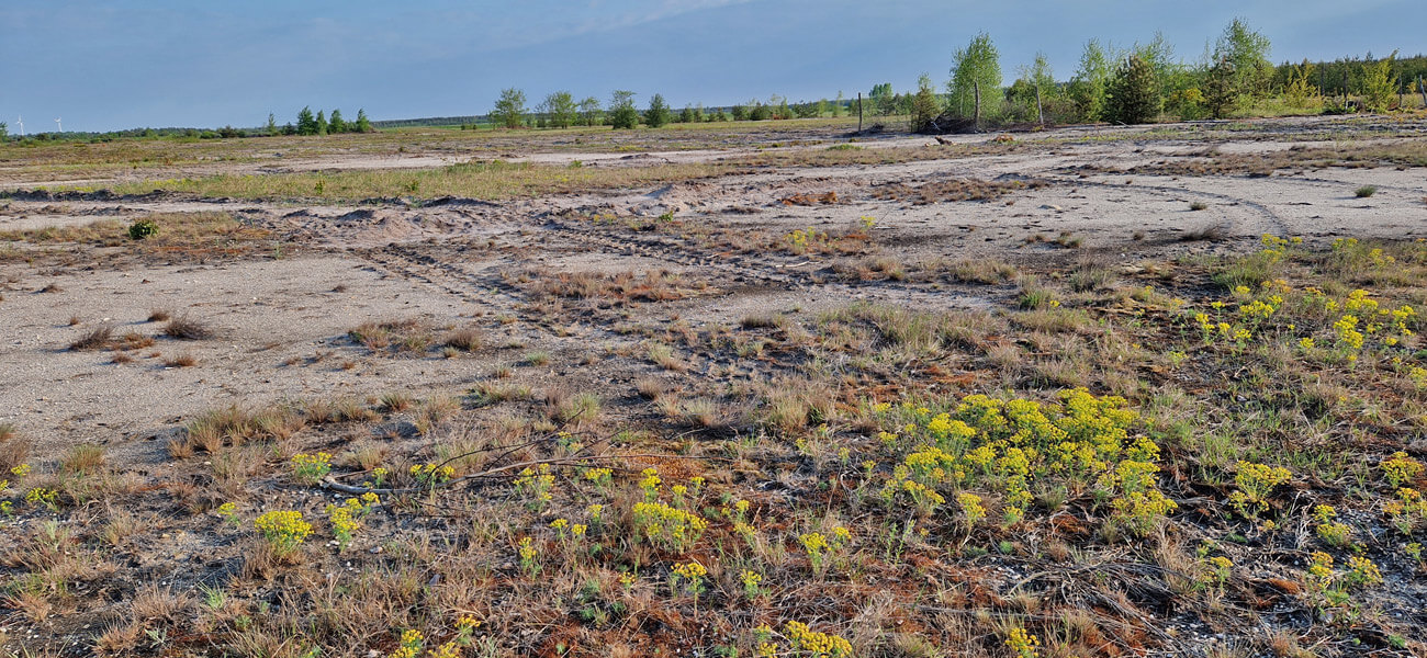 Offenland Bergener Hutung