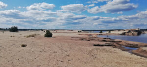 Pionierlandschaft am Blunoer Südsee