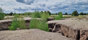 Rohbodenstadien mit-Erosionsrinnen Innenkippe Spreetal