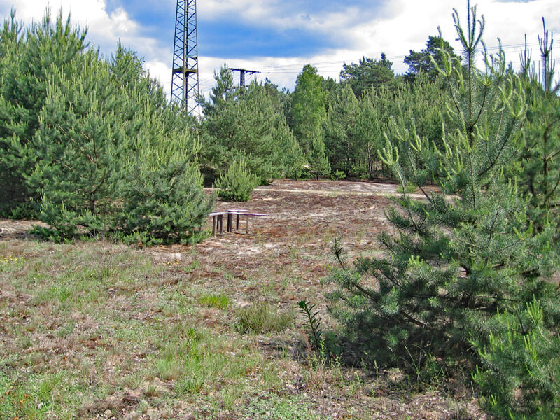 waldumbau partwitzer hutung 01