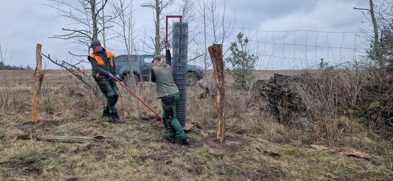 NGP Freiwilligendienste