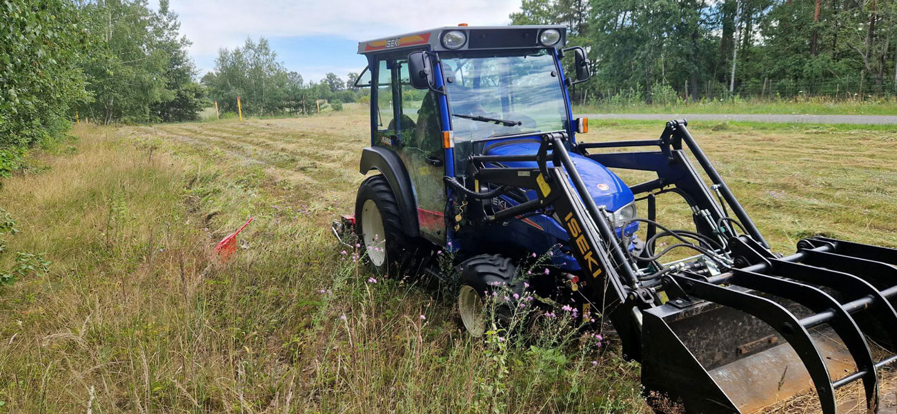 NGP Freiwilligendienste