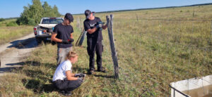 NGP Freiwilligendienste