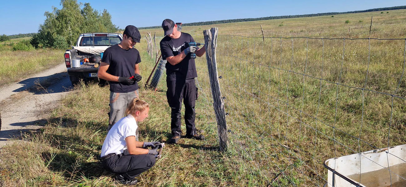 NGP Freiwilligendienste