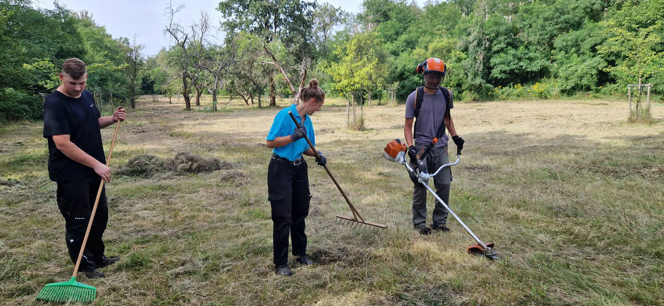 ngp freiwilligendienste 05