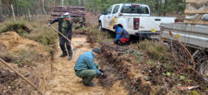 NGP Freiwilligendienste