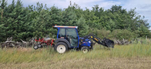 NGP Freiwilligendienste