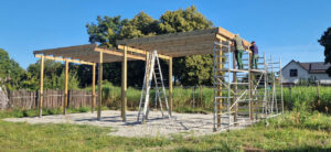 NGP Freiwilligendienste