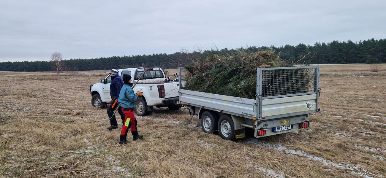 NGP Freiwilligendienste